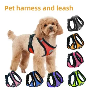 Pet Harness for Dogs & Cats Outdoor Traction Leash Collar & Vest Anti Pull Pet Supplies