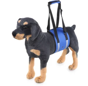 Pet Harness with Leash and Waist Support Belt for Elderly Dogs Rehabilitation Aid for Injured or Disabled Dogs