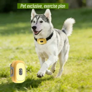 Pet Health Monitoring 4G Locator Device Locates Pets and Detects Their Activity Heart Rate and Emotions for Dogs and Cats