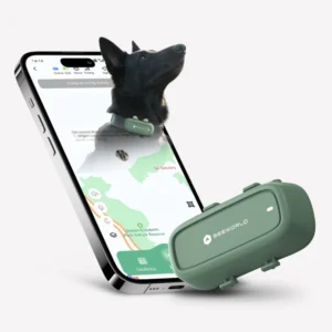Pet Health Tracker GPS Locator Long Battery Life 4G Network Beidou LBS for Cat Dog Pet Management Health Analysis