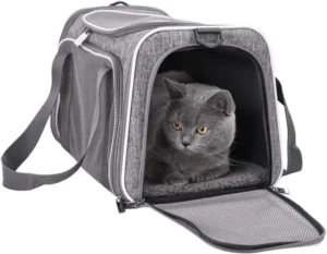 Pet Items Custom Fashion Foldable Pet Carrier Bag Portable Outdoor Travel Dog Carrier