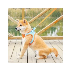 Pet Kitten Puppy Dog Harness and Leashes Set Breathable Reflective Pet Cat Harness Set