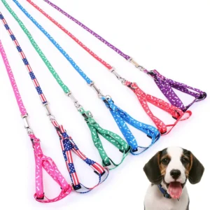 Pet Leash Adjustable Fashion Harness Dog Cat Harness Pet Supplies