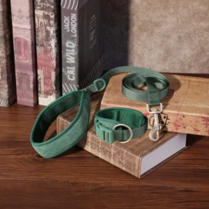 Pet Leash Rope Retractable Walking Collar for Small Dog Tactical