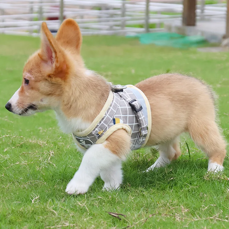 Pet Leash Vest Dog Harness Small and Medium-sized Dog Cat Leash Harness Set