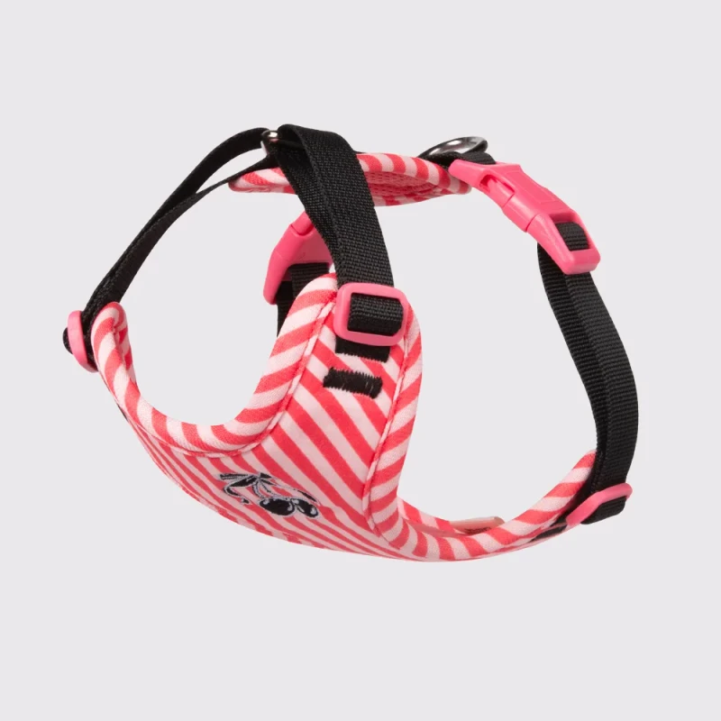 Pet Leash to Prevent Slipping Off Cute Dog Collar with Contrasting Stripes V-necked Vest-style Chest Harness