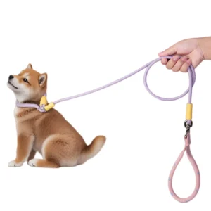 Pet Leash with Anti Slip and Hand Holding Dog Walking Rope Outdoor Pet Supplies