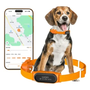Pet Locator Real-Time Health Monitoring Tracker for Dogs and Cats Electronic Fence Collar Anti-Lost