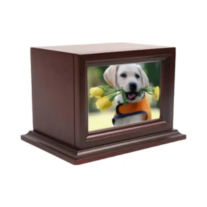 Pet Memorial Keepsake Urns Photo Box Cremation Urn for Dogs & Cats Loss Pet Sympathy Remembrance Gift Large