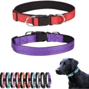 Pet Nylon Reflective Collar Cat and Dog Collar Adjustable Reflective Cat and Dog Collar Pet Supplies