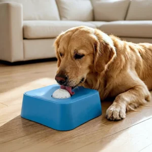 Pet PP Square Anti Spill Licking & Slow Feeding Dog & Cat Feeder Bowl