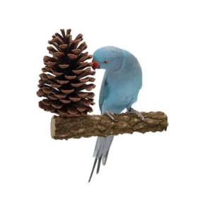 Pet Parrot Bird Standing Gnawing Toy Pure Natural Solid Wood Material Plus Pine Cones