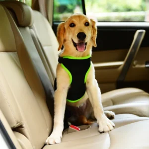 Pet Product New Oxford Cloth Chest Dog Harness Explosion Proof Big Dog Vest Pet Harness