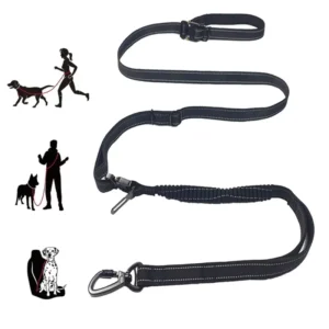 Pet Products 6 in 1 Bungee Retractable Hands free Dog Leash Heavy Duty Retractable Dog Leash