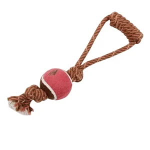 Pet Products Personalised Pet Products