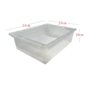 Pet Products Reptile Products Plastic A4 Box Gecko Snake Feeding Rack Tray Reptile Bucket Bathtub