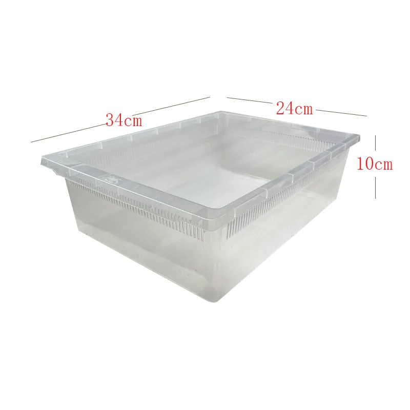 Pet Products Reptile Products Plastic A4 Box Gecko Snake Feeding Rack Tray Reptile Bucket Bathtub