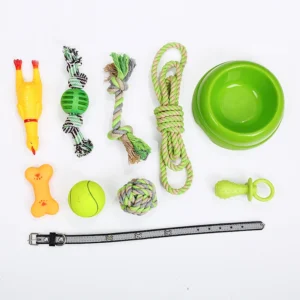 Pet Products Set Dog Bowl Collar Pet Toys Assortment 10pcs