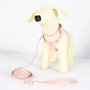 Pet Products Small Pets Genuine Leather Cat and Dog Harness Leashes Collars with Rhinestone Decoration