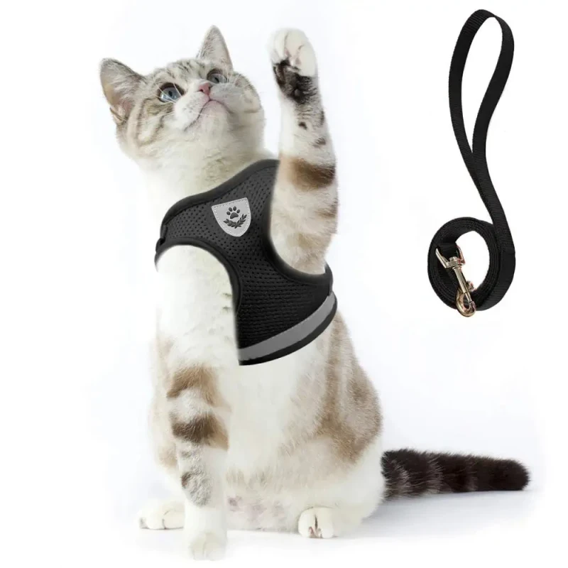 Pet Puppy Soft Mesh Adjustable Cat Vest with Reflective Strap Comfort Fit Harness Leash Set Walking Dog Harness Set