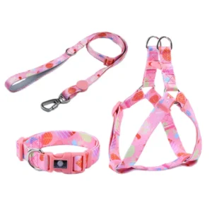 Pet Shop Custom Dog Harness Padded Strap Tactical Dog Collar and Leash Set