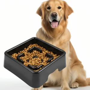 Pet Slow Feeder Bowl Anti Spill Dog and Cat Food Bowl Perfect for Puppies Adult Dogs