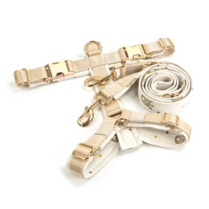 Pet Supplies Adjustable Puppy Dog Harness Soft Padded Pet Vest Accessories Leash and Harness Dog Harness Set