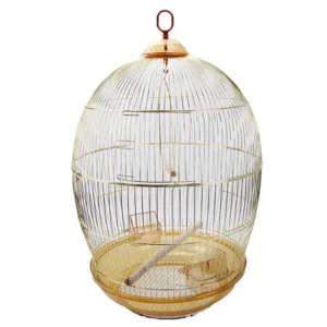 Pet Supplies Bird Cage Accessories Outdoor Aviary Small Bird Cages Golden Finished Handmade Designer Hanging Birds Cages