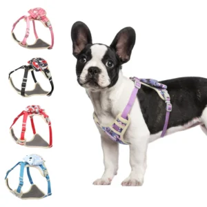 Pet Supplies Custom Designs Nylon Padded Fashion Sport Dog Vest Adjustable Lightweight Pet Harness for Small Medium Large Dogs