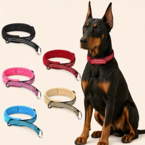 Pet Supplies Dog Collar Reflective Breathable Nylon Solid Simple Comfortable Adjustable Outdoor Training