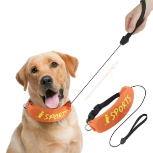 Pet Supplies Dog Leash Collar Integrated Retractable Dog Walking Leash Collar Leash