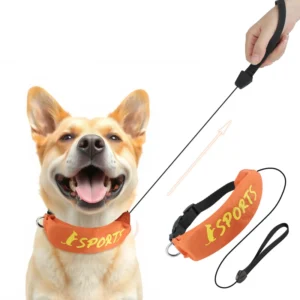 Pet Supplies Dog Leash Collar Integrated Retractable Dog Walking Leash Collar Leash