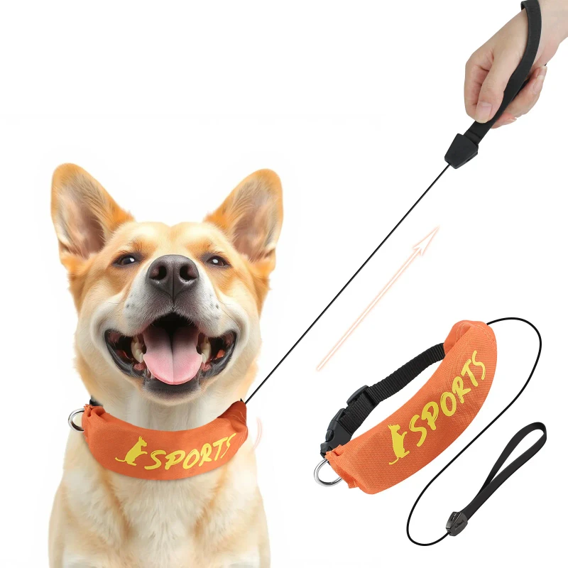 Pet Supplies Dog Leash Collar Integrated Retractable Dog Walking Leash Collar Leash
