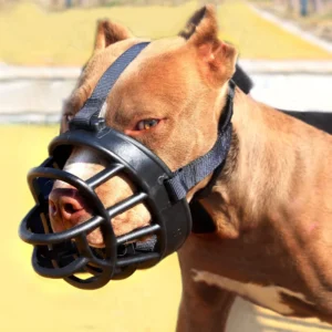 Pet Supplies Dog Muzzle Basket Adjustable Anti bite Plastic Breathable Eco Friendly Outdoor Dog Mouth Cover Medium Large XL