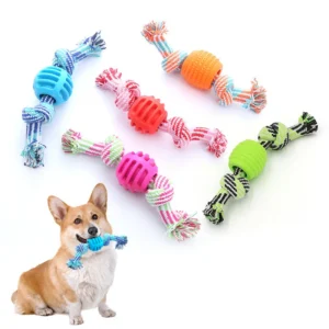 Pet Supplies Dog Toys Colorful Cotton Rope Double Knot TPR Ball Durable Chewing Interactive Dog Training PT 097 Ready Stock