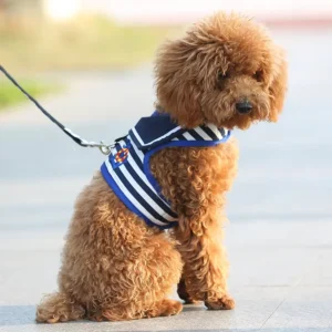 Pet Supplies Fashion Luxury Dog Harness Leash Fabric Chain Teddy Small Dog Walking Rope Poodle Harness Set