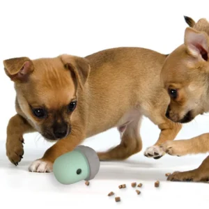 Pet Supplies Interactive Dog Treat Dispenser Toy for Mental Training and Fun