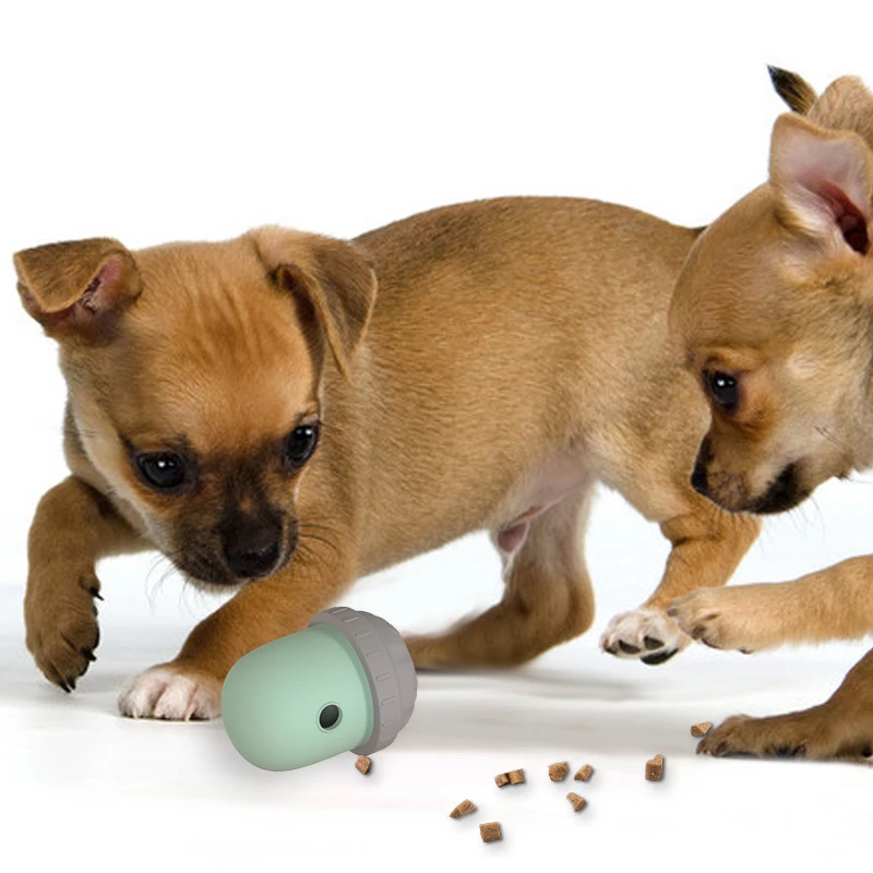 Pet Supplies Interactive Dog Treat Dispenser Toy for Mental Training and Fun
