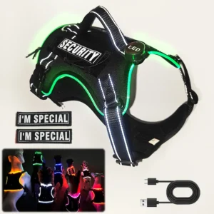 Pet Supplies Large Pet LED Dog Harness Rechargeable Custom Logo Luxury USB Light Up Pet Dog Safety Harness