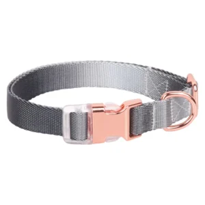 Pet Supplies Modern Rivet Soft Digitally Printed Bohemian Style 100% Nylon Buckle Closure Puppy Dog Collar