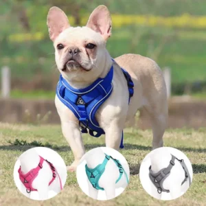 Pet Supplies Reflective Polyester Adjustable Outdoors Reptile Harness and Leash Set