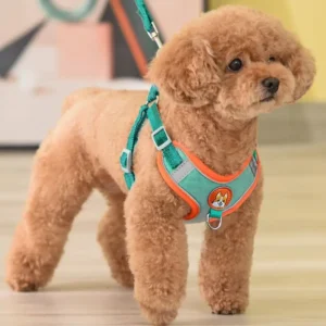 Pet Supplies Reflective Retractable Leash Pet Harnesses for Small Medium Dogs and Cats Teddy Design Pet Harnesses Set
