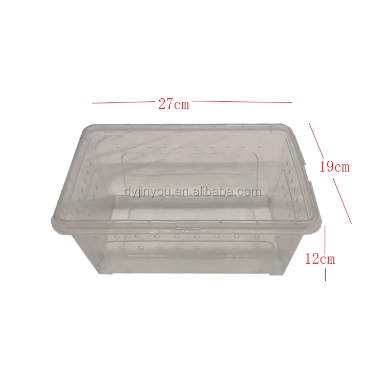 Pet Supplies Reptile Box Pet Snake Son Snail Horned Frog Gecko Bathtub