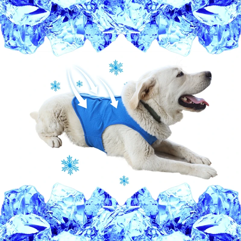 Pet Supplies Summer Heat Prevention Cooling Vest for Dogs Lightweight Breathable Wet Vest Casual Style