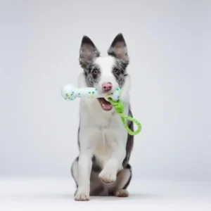 Pet Toy Popcorn Dumbbell Shaped Dog Throwing Toy Light Bite Anti Ball Dog Interactive Toy Training Pet Supplies