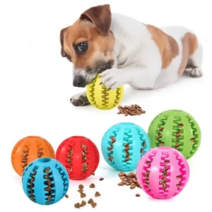 Pet Toys Dog Toy Interactive Durable Soft Rubber Ball Puppy Cat Chew Toys Dog Food Treat Feeder Tooth Cleaning Training Ball