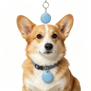 Pet Tracker Dual System for Dog and Cat iOS Android Compatible 4 Colors