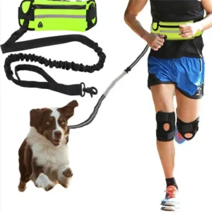 Pet Traction Rope Free Hand Leash With Zipper Waist Bag Dog Running Retractable Elastic Belt Reflective Dog Leash With Pouch