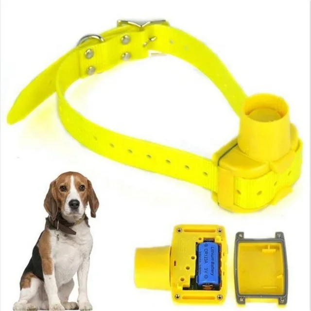 Pet Trainer