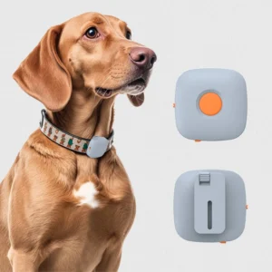 Pet Training Collar Clip with Remote Controller Rechargeable No Shock Vibration Dog Training Device